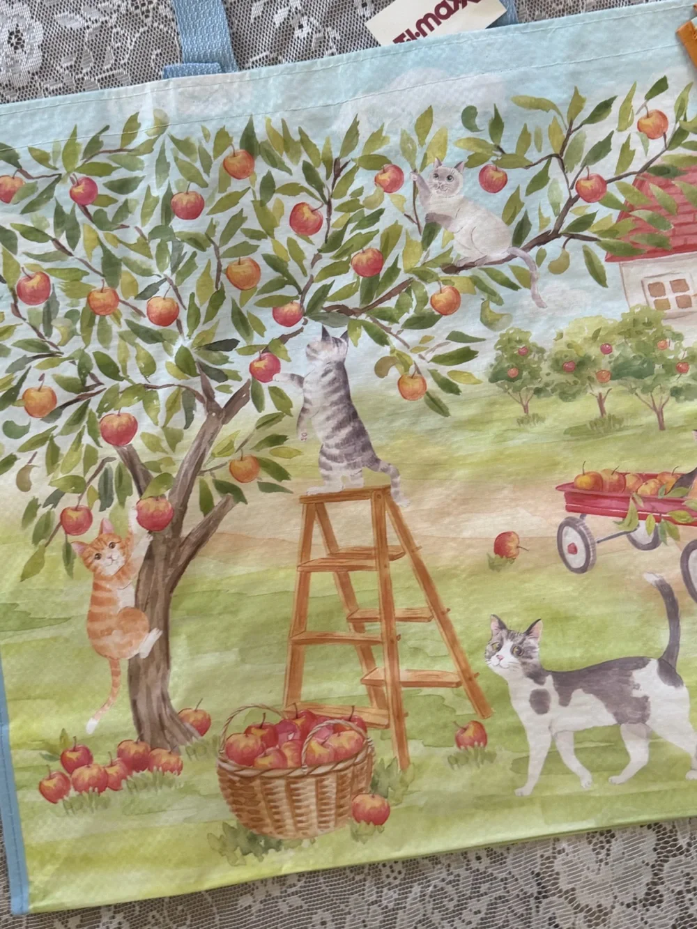 Cat fall themed Reusable bags
